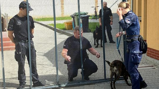 Psy specjalne sprawdzały cele w głogowskim więzieniu
