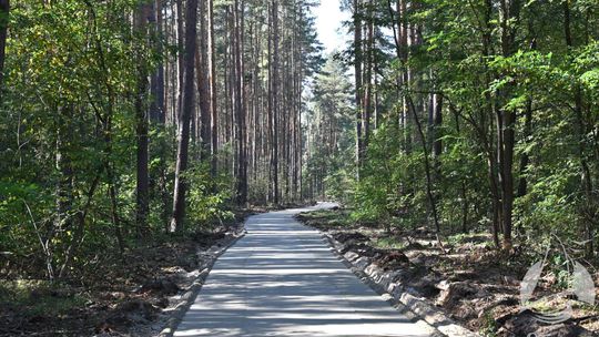 Radzyń–Józefów. Powstaje nowa trasa rowerowa w gminie Sława