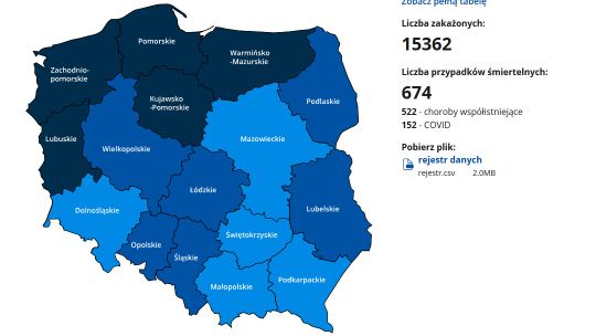 RAPORT ZAKAŻEŃ NA RZĄDOWEJ STRONIE