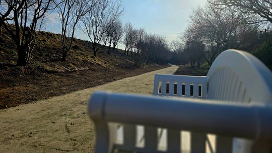 Rewitalizacja wąwozu w Kurowicach zakończona. Można już spacerować