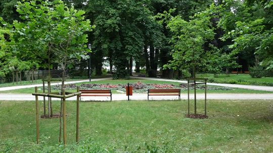 SADRAKUŁA: SŁAWA MA SWOJE 5 MINUT
