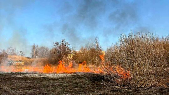 Seria pożarów traw w powiecie polkowickim
