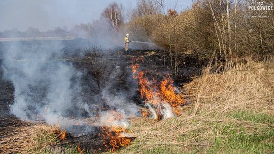 Seria pożarów traw w powiecie polkowickim