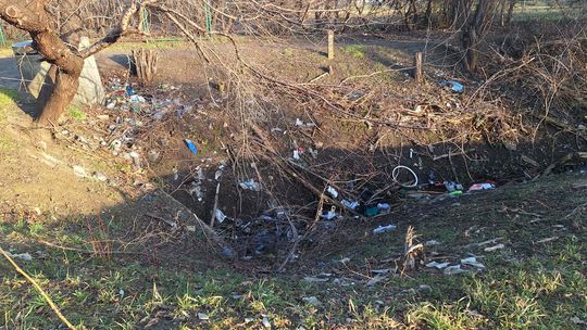Śmieci przy ul. Henryka Głogowskiego. Mieszkanka oburzona