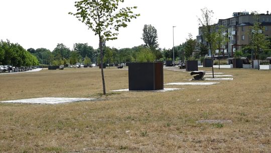 SUCHO NA BULWARZE NAODRZAŃSKIM