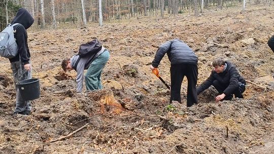 UCZNIOWIE NA WAGARACH SADZILI...LAS
