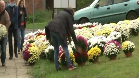 W GŁOGOWIE TEŻ POMAGAJĄ SPRZEDAWCOM CHRYZANTEM