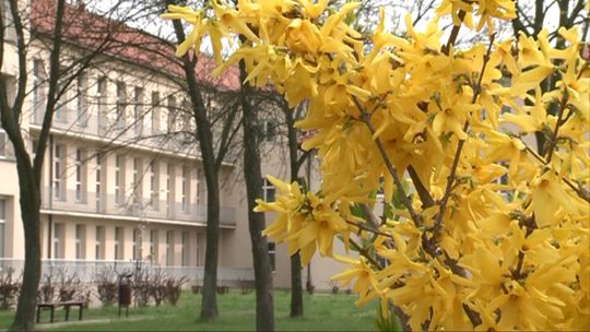 W POŁOWIE MIEJSKI. Szpital miejsko-powiatowy staje się faktem.