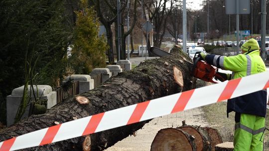 WICHURA ZERWAŁA DACHY I PRZEWRÓCIŁA DRZEWA