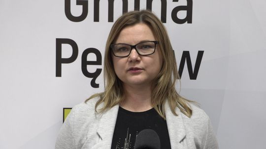 WSA: DECYZJA O WIATRAKACH NALEŻY DO WŁADZ GMINY