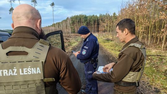 Wschowa: Służby ruszają w lasy. Kontrole choinek przed świętami