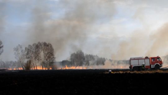 WYPALAJĄ TRAWY NA POTĘGĘ - To prawdziwa plaga w powiecie polkowickim.