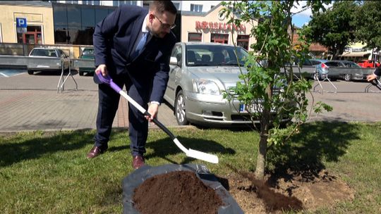 ZASADZILI DĘBY SAMORZĄDNOŚCI. Uroczystość z okazji 30-lecia samorządów.