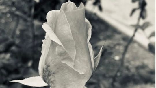 Zmarł dr Thao Phongsavath. Wieloletni lekarz szpitala w Głogowie