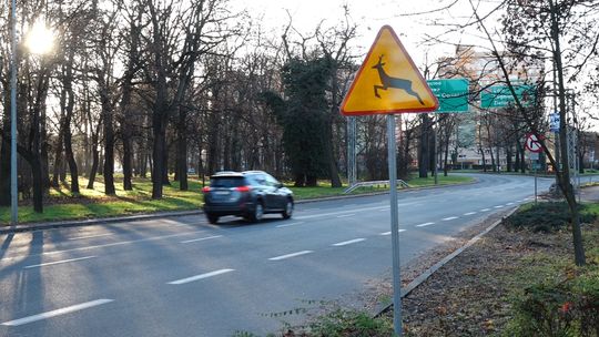 ZNAKI ZAŁATWIĄ SPRAWĘ?