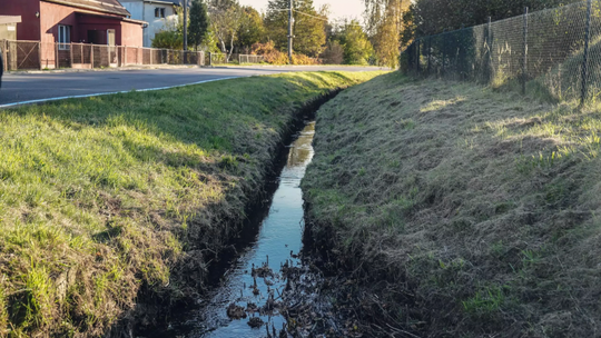 ZNÓW OCZYSZCZĄ KALINĘ