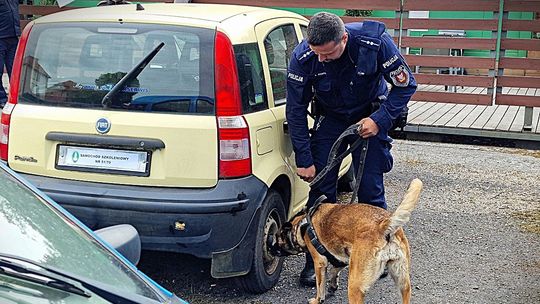 Zostań przewodnikiem psa służbowego w Policji – jak zacząć?