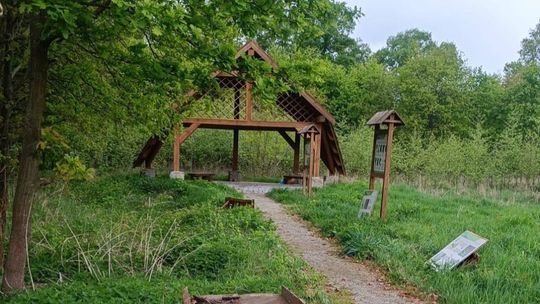 Zuchwała kradzież w Czernej! Straż Leśna i Policja odzyskały łup