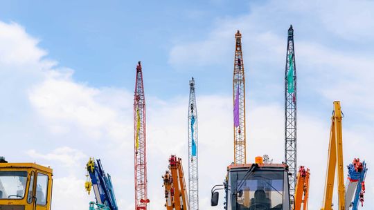 Żurawie gąsienicowe - najważniejsze informację