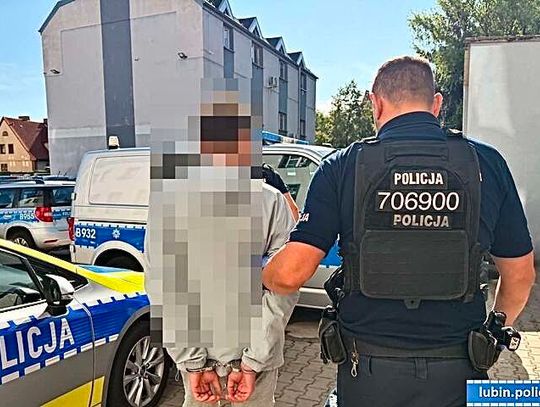 12 zarzutów dla 24-latka z Lubina