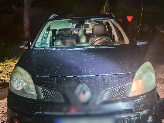 2 promile i kolizja. Niebezpieczna jazda w gminie Szlichtyngowa