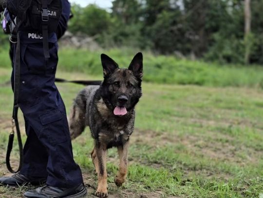 8-latek i 5-latka zniknęli z placu zabaw. Policja ruszyła na poszukiwania!