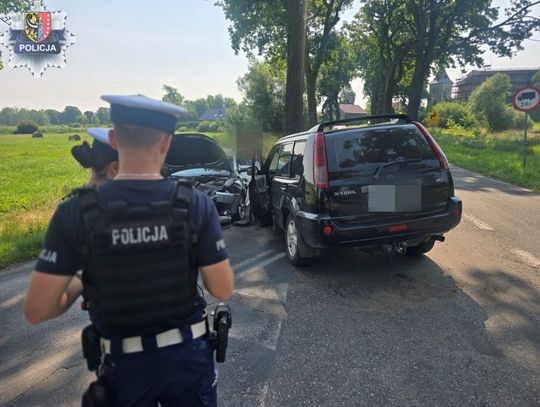 Niebezpieczne zdarzenie w Jędrzychowie. Policja apeluje o ostrożność