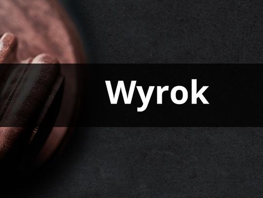 Oszustwo na palety z towarem. Wyrok dla 36-latka Oszustwo na palety z towarem. Wyrok dla 36-latka