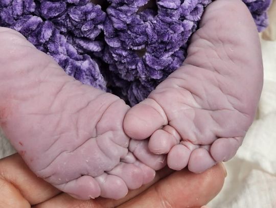 Porodówka w Głogowie: 37 nowych mieszkańców miasta