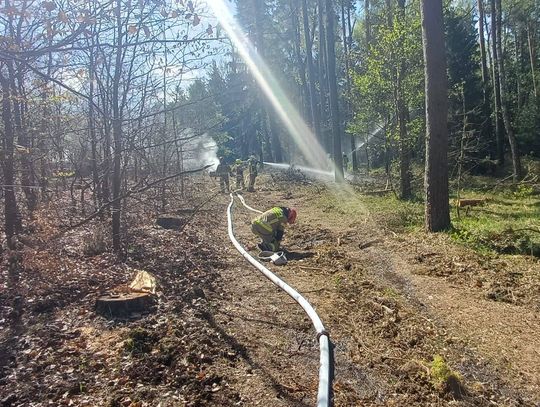 Pożar w scenariuszu, bezpieczeństwo w realu. Ćwiczenia w lasach pod Głogowie