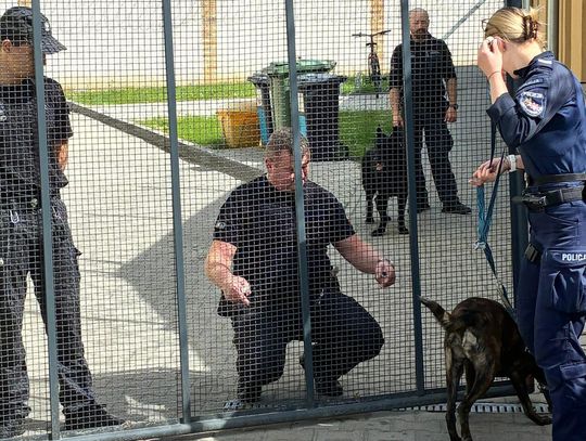 Psy specjalne sprawdzały cele w głogowskim więzieniu Psy specjalne sprawdzały cele w głogowskim więzieniu