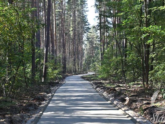 Radzyń–Józefów. Powstaje nowa trasa rowerowa w gminie Sława
