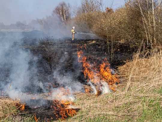 Seria pożarów traw w powiecie polkowickim