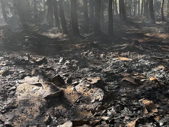 Spłonęły hektary lasu