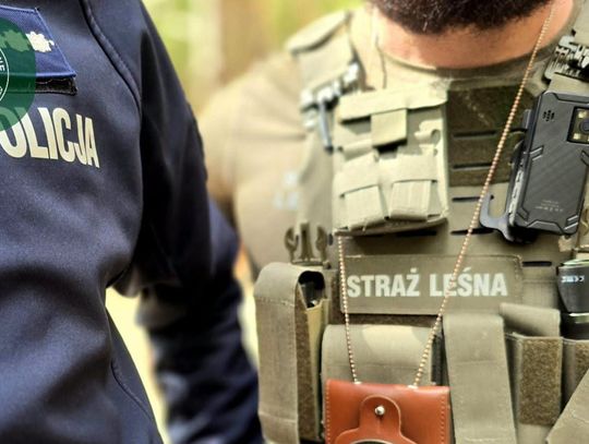 Strażnicy ruszają do lasów. Sprawdzą auta, quady i motocykle
