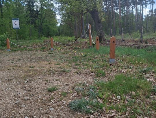 Zniknęła lina z parkingu. Leśnicy reagują