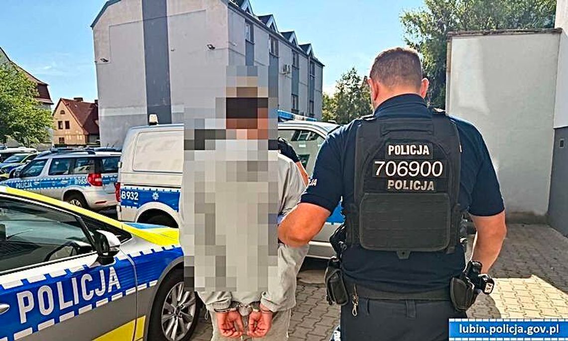 12 zarzutów dla 24-latka z Lubina 12 zarzutów dla 24-latka z Lubina