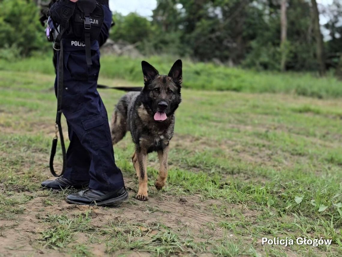 8-latek i 5-latka zniknęli z placu zabaw. Policja ruszyła na poszukiwania! 8-latek i 5-latka zniknęli z placu zabaw. Policja ruszyła na poszukiwania!