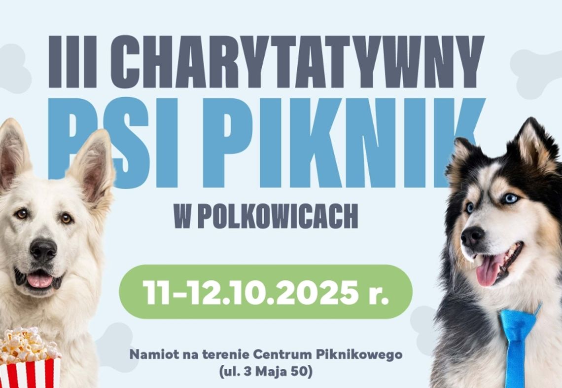„Coś” specjalnego dla miłośników psów „Coś” specjalnego dla miłośników psów