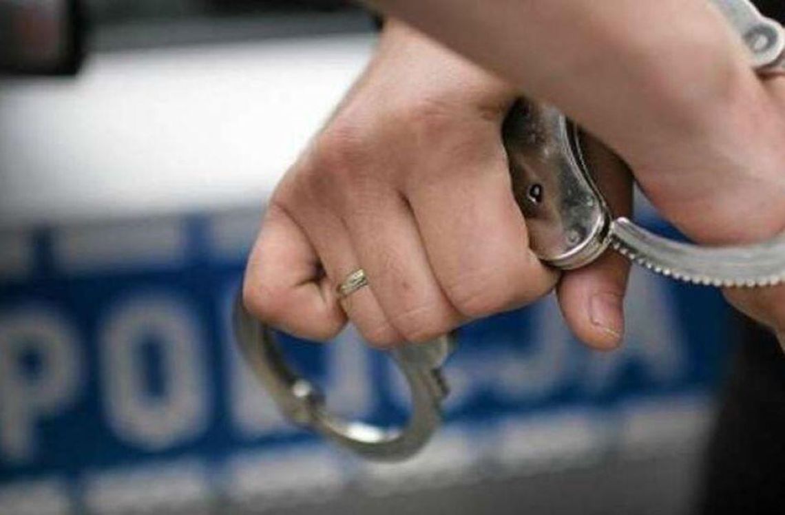 Domowy oprawca z Głogowa – skatował kota i znęcał się nad bliskimi