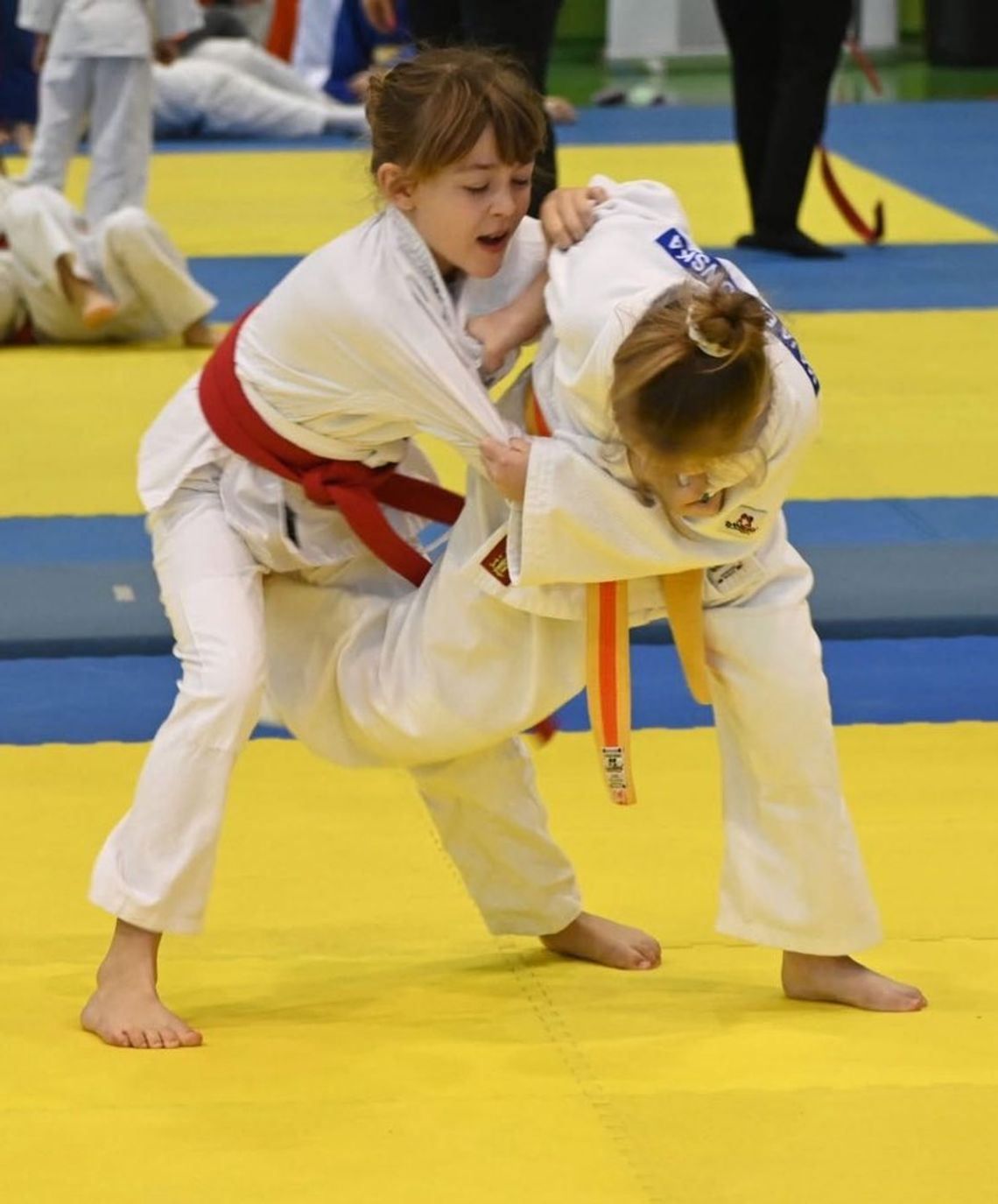 Głogowski Klub Judo z 27 medalami na turnieju w Sławie! Głogowski Klub Judo z 27 medalami na turnieju w Sławie!