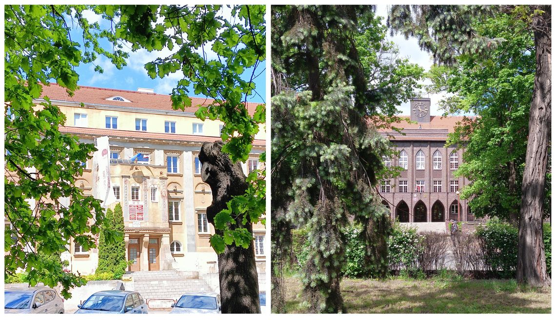 GORĄCY CZAS DLA ÓSMOKLASISTÓW. W MAJU RUSZA NABÓR DO SZKÓŁ PONADPODTAWOWYCH GORĄCY CZAS DLA ÓSMOKLASISTÓW. W MAJU RUSZA NABÓR DO SZKÓŁ PONADPODTAWOWYCH