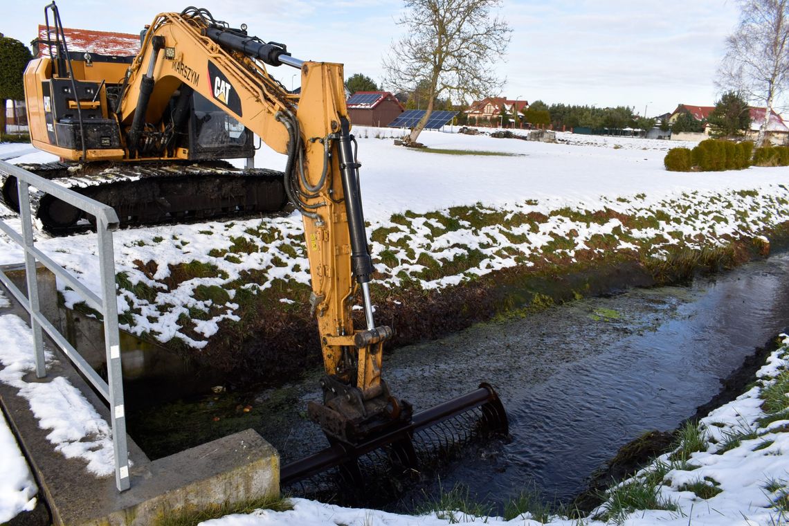 Kalina w Sobinie oczyszczona