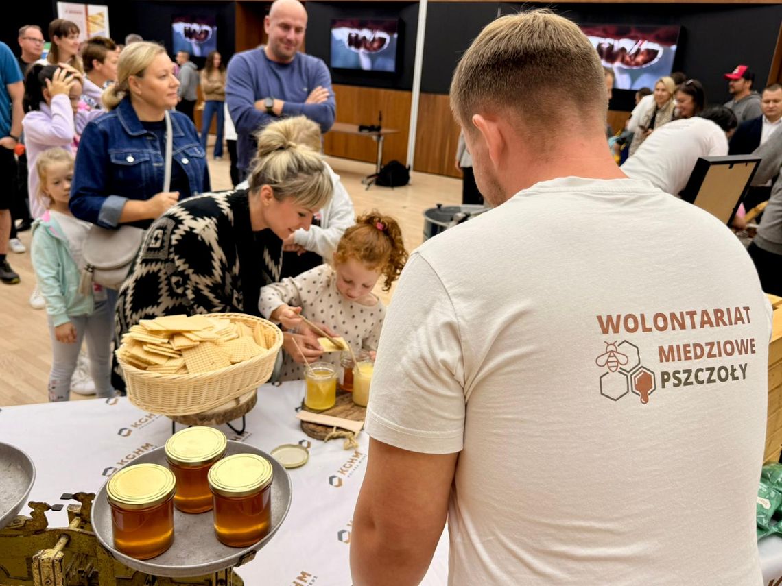 KGHM i pszczoły: setki słoików miodu z pasiek przy oddziałach spółki