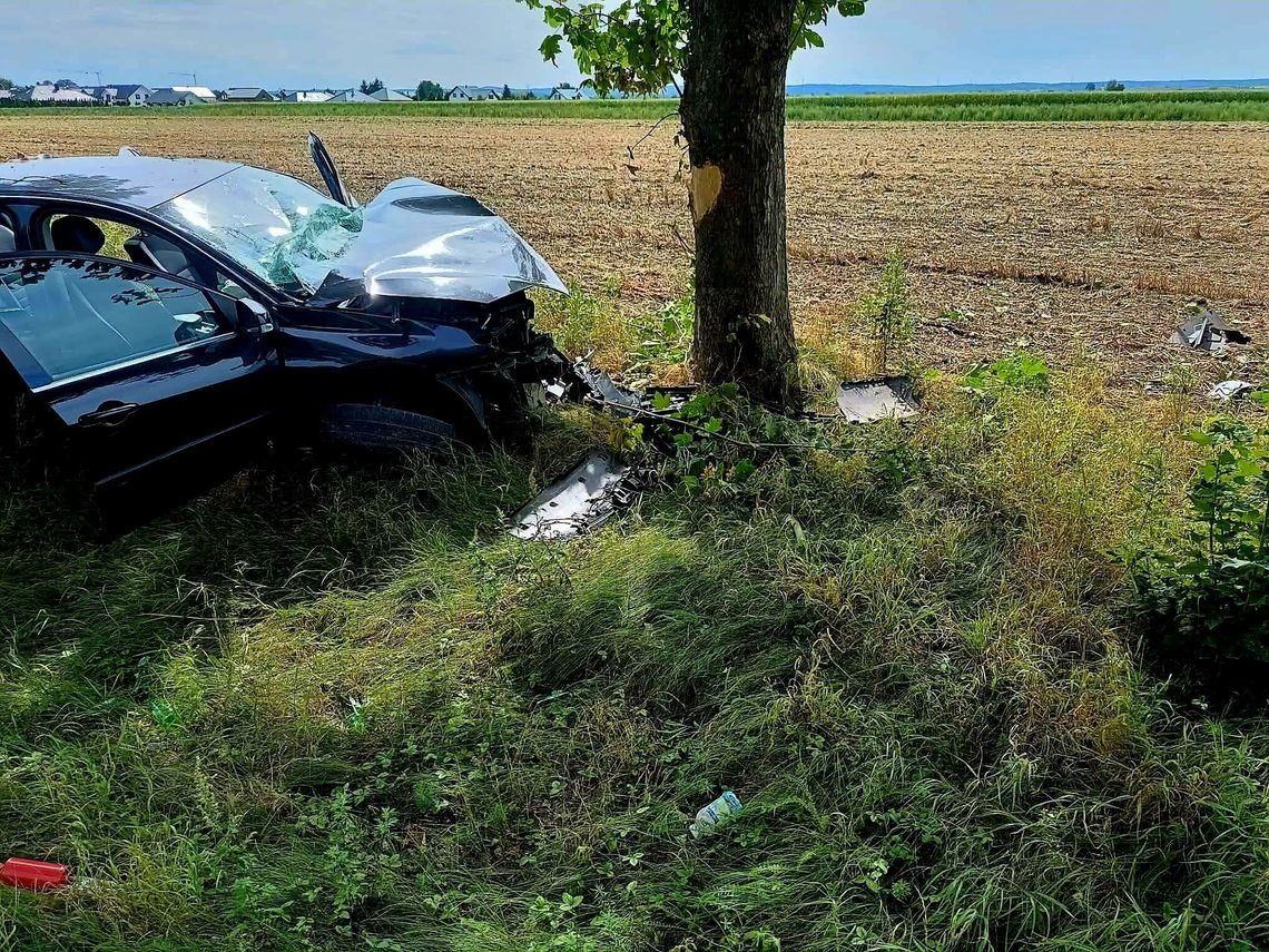 Kierująca uderzyła w drzewo. Groźne zdarzenie w Grębocicach