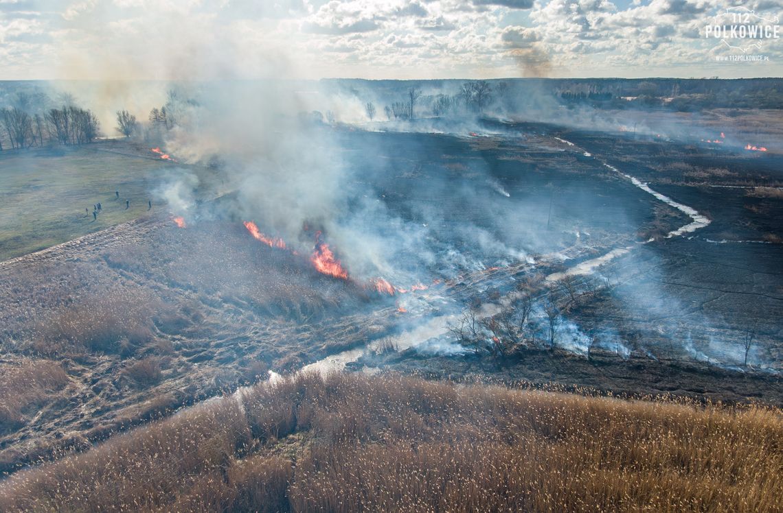 Kilkumetrowe płomienie ognia w Chocianowie