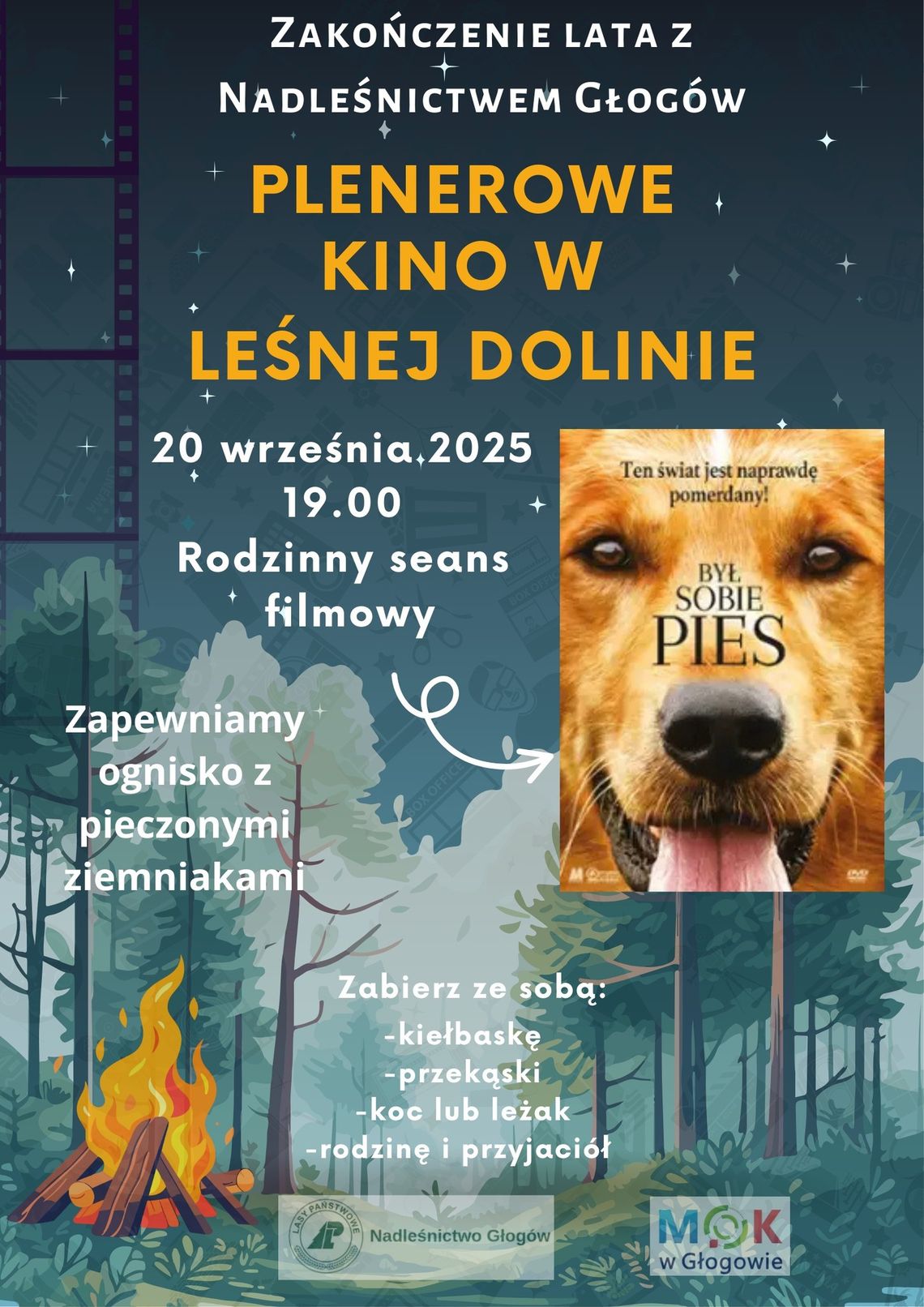 Kino pod gwiazdami w Leśnej Dolinie