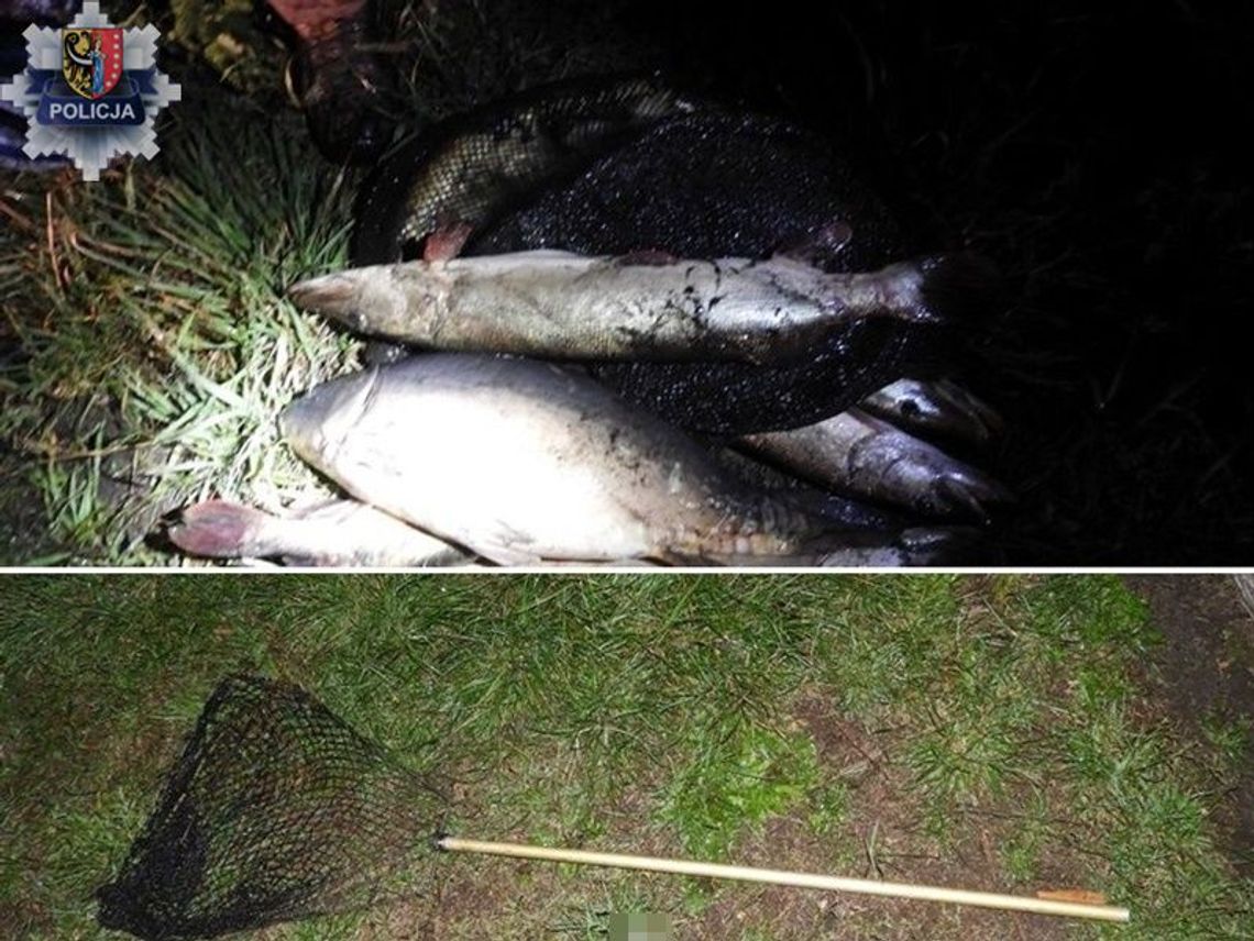 Kłusownicy wpadli w ręce policji Kłusownicy wpadli w ręce policji