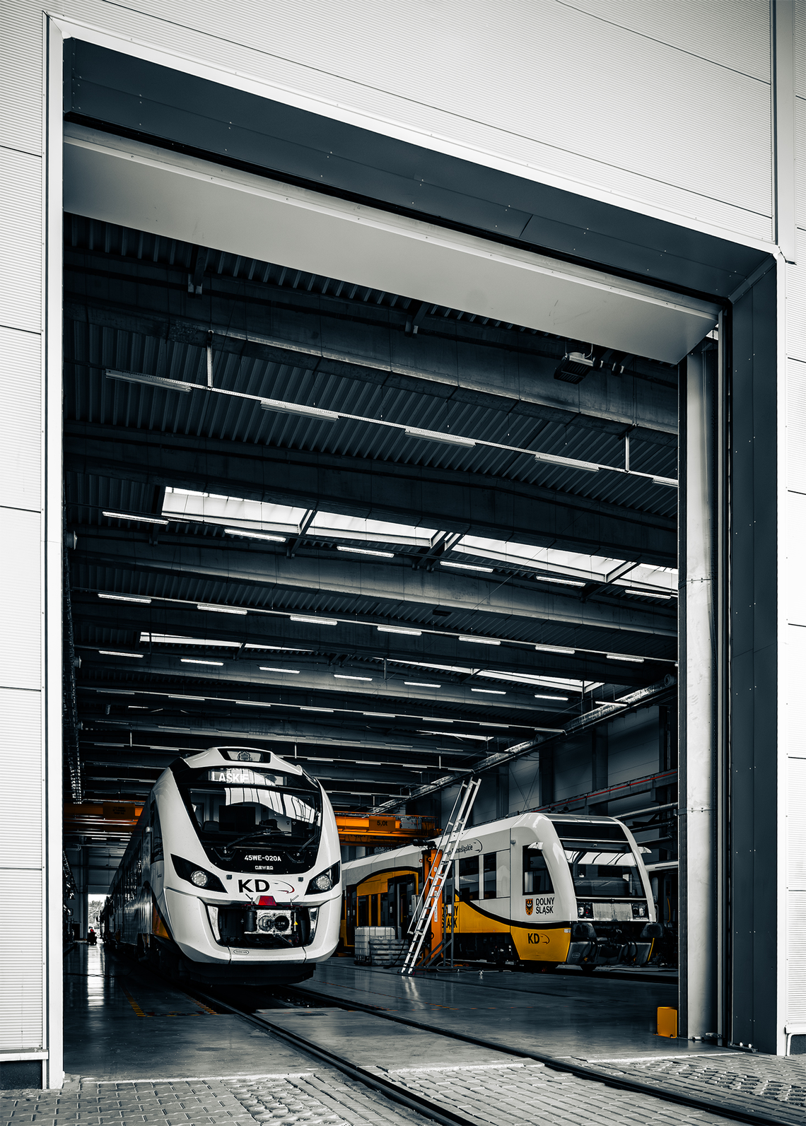 Koleje Dolnośląskie szukają producentów nowych, ekologicznych pociągów