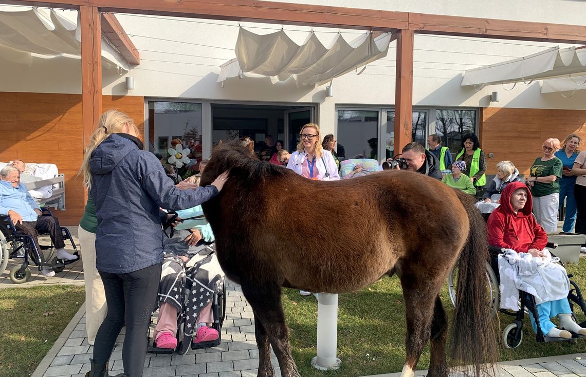 Konie ze stajni w Jakubowie w hospicjum w Głogowie. Pacjenci byli zachwyceni